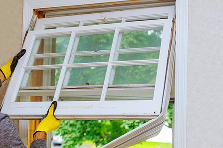 Window Replacement in Kendale Lakes, FL
