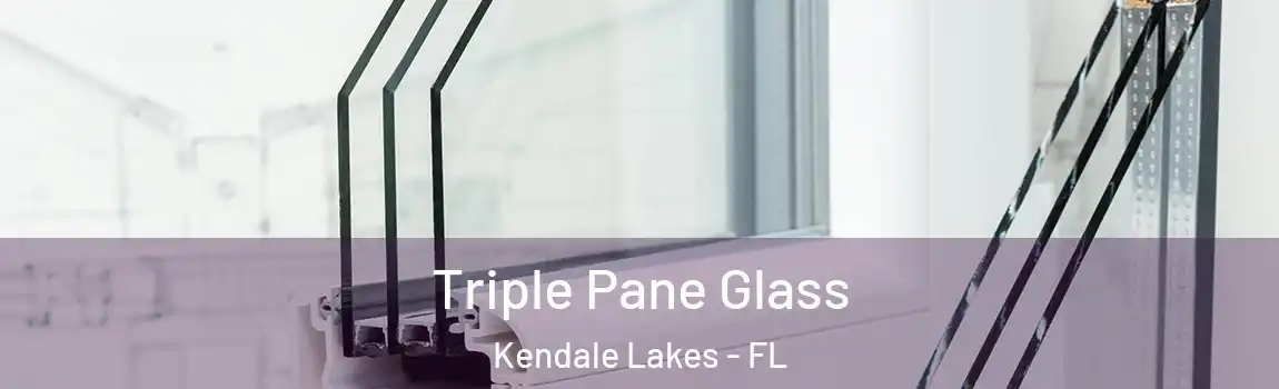  Triple Pane Glass Kendale Lakes - FL