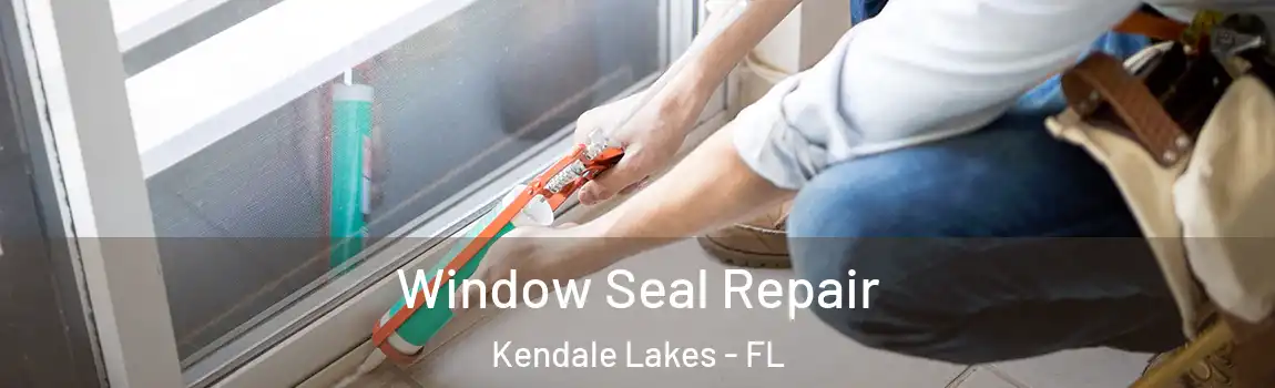  Window Seal Repair Kendale Lakes - FL